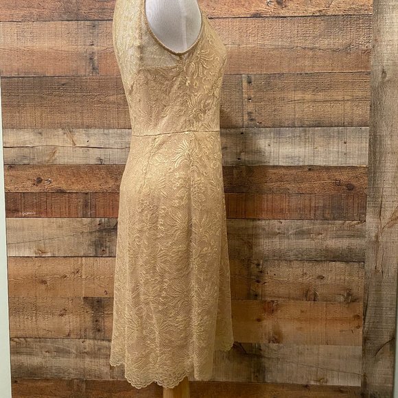 BCBG Max Azria Gold Lace Slip Dress Size 2- Stunning! NWT - Picture 4 of 13